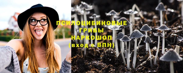 а пвп мука Кинешма