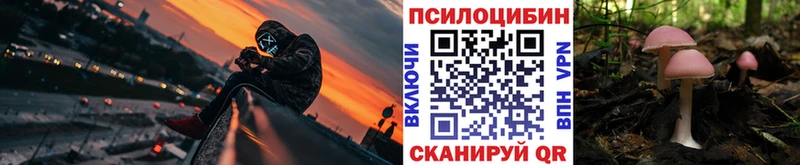 Галлюциногенные грибы MAGIC MUSHROOMS  Купить закладки  Правдинск 